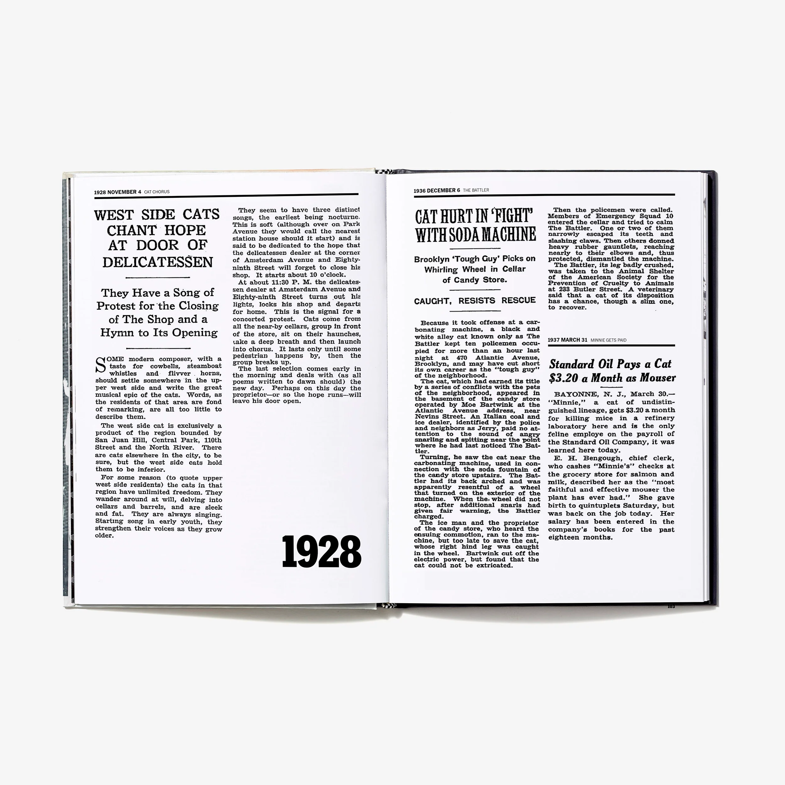 Cats of The Times - Image 3